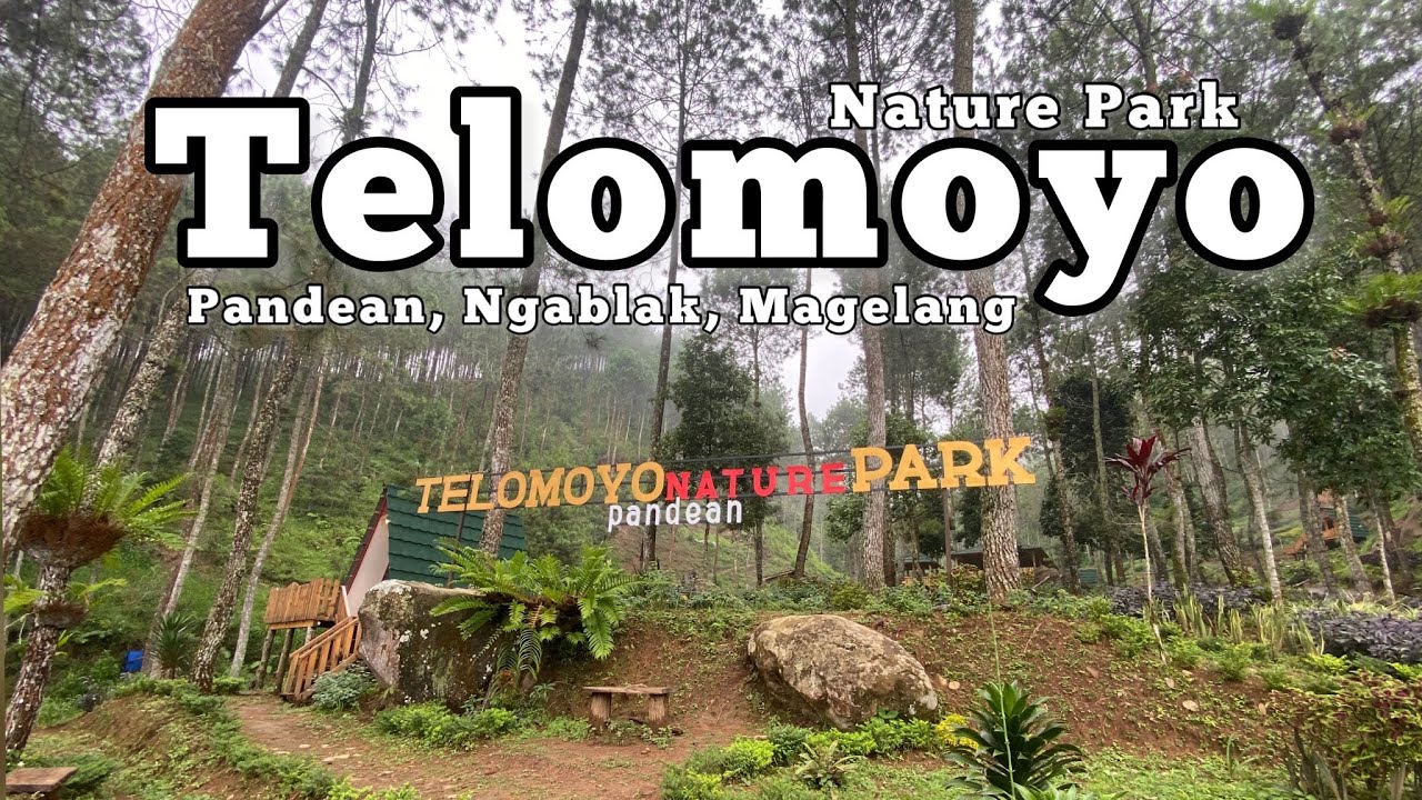 Telomoyo Nature Park: Jelajahi Surga Tersembunyi di Lereng Gunung Merbabu